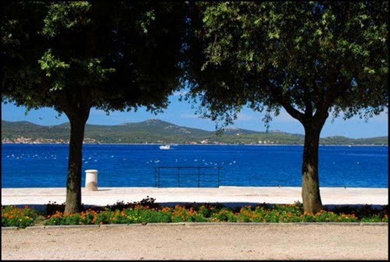 Guest Accommodation Neno Zadar Exterior foto